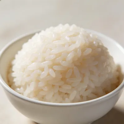 Nuo Mi Fan — Sticky Rice